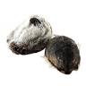 Струя кабарги (мускус) сухая 1 грамм